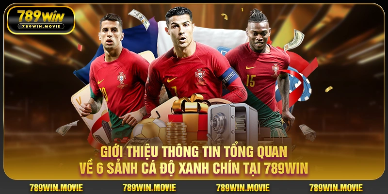 Giới thiệu thông tin tổng quan về 6 sảnh cá độ xanh chín tại ku88