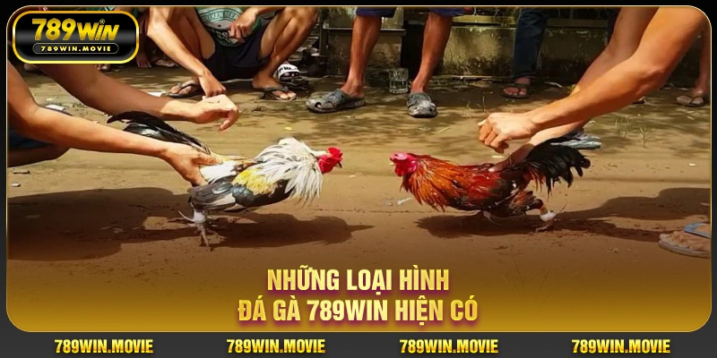 Những loại hình đá gà KU88 hiện có