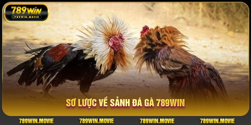 Sơ lược về sảnh đá gà KU88